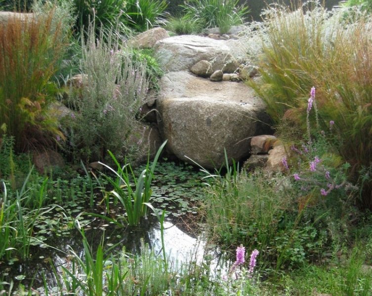 Phillip Johnson Landscapes - Suburban garden pond