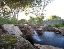 Phillip Johnson Landscapes - natural pond