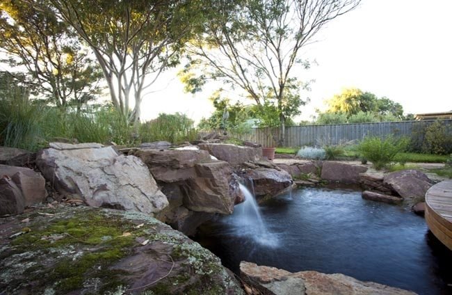 Phillip Johnson Landscapes - natural pond