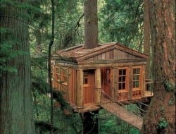 It's almost too elegant to be called a tree house isn't it, especially with that rope bridge.