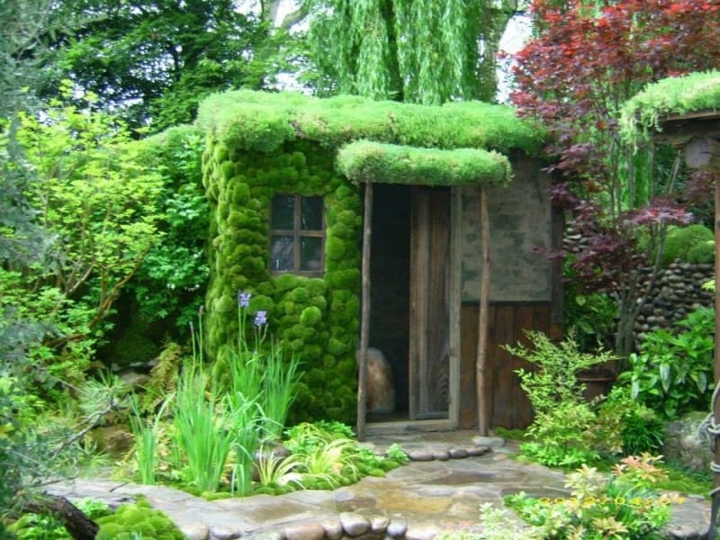 What do you think of this for a "shed"?