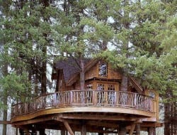 This is certainly in a whole different league to the rough and ready tree houses we built as kids!