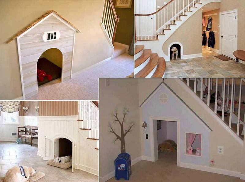 Is this something your pet would love to have? Why not ask them what they think of the idea :-)