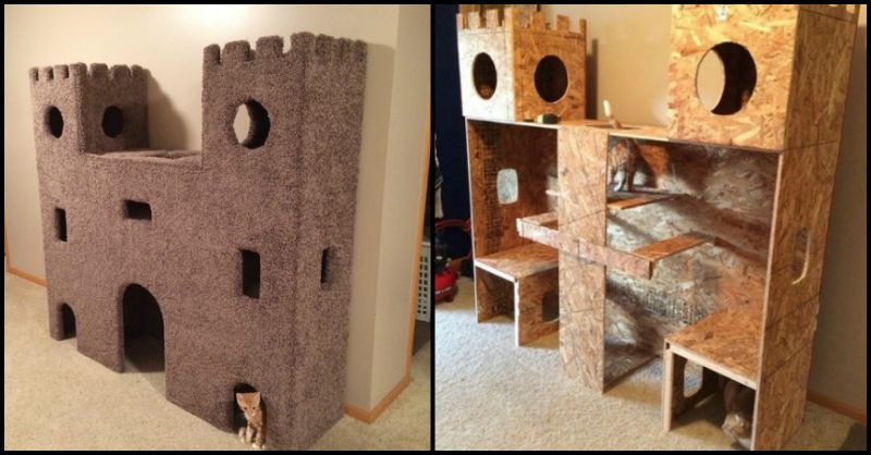 Cat Castle