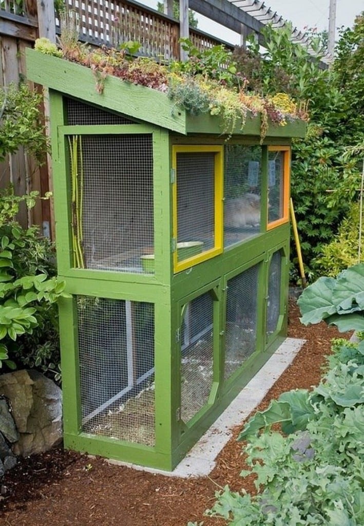 Here is another example of how to make the most out of your chicken coop or rabbit hutch. Not only does it have a living roof, but as it is also placed in a vegetable garden , you can reuse old straw, bedding and droppings as instant compost. What do you think?