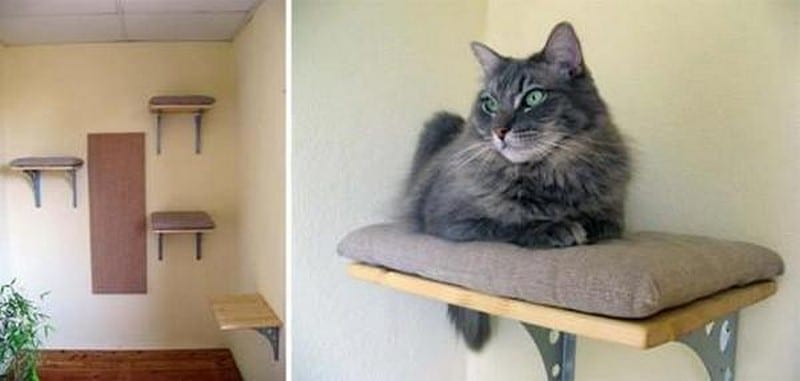 This one falls into the so simple category, yet like me, you probably haven't considered it?  Cheap brackets, recycled timber and some old carpet, will give your feline some great places to sit and admire the view, at the height cats just love.  Pretty clever (and easy) isn't it?