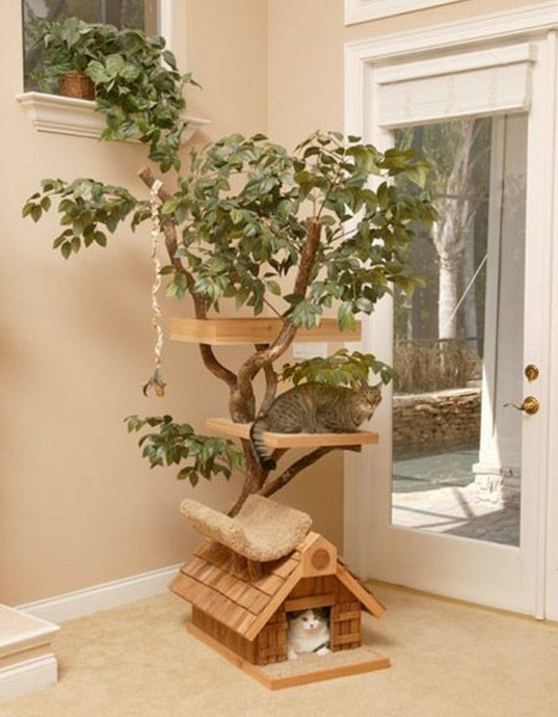 Many cat owners now choose to keep their felines indoors 100% of the time, but that doesn't mean they can't have a taste of the outdoors. Why not consider creating a