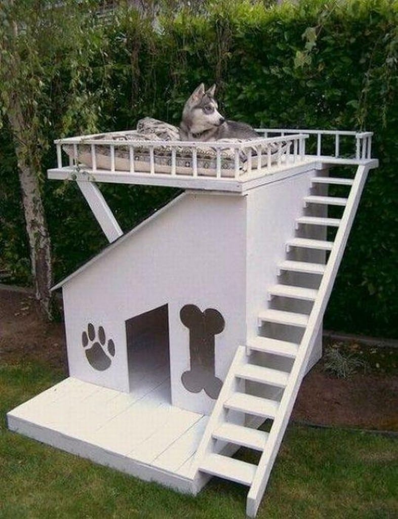 One of our dogs favourite places to sleep is on our outdoor furniture. I'm wondering whether this dog kennel with viewing platform might be more to their liking. My biggest concern is that the kids and the dogs would fight over it :-) Would your pampered pooch (or child) like one?