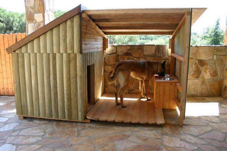 Dog House