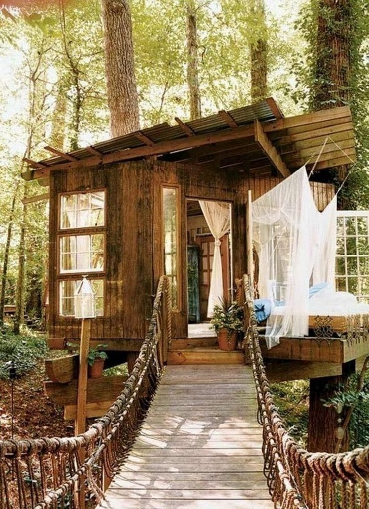 A tree shed?
