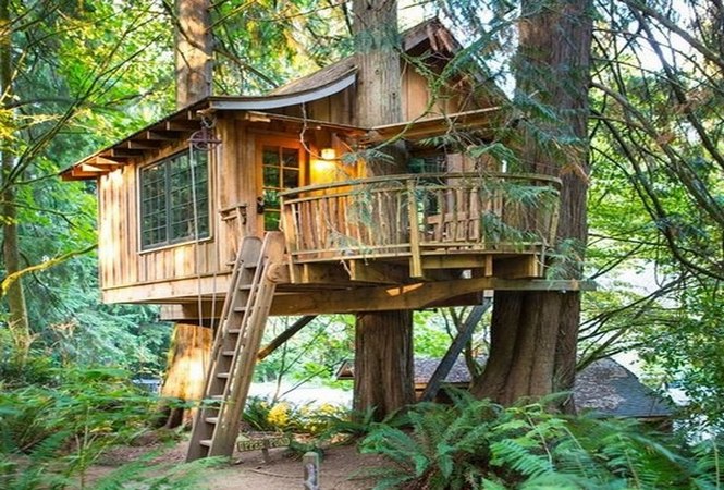 Fantastic Tree Houses for the child within...