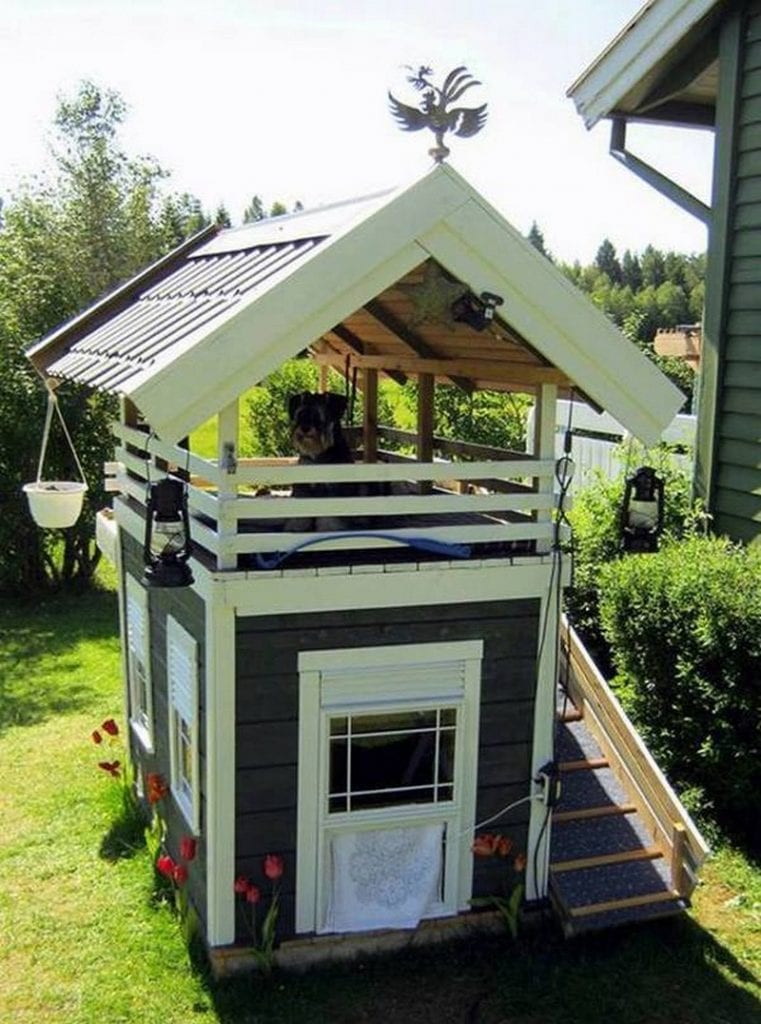 Is this something your pet would love to have? My biggest concern is that the kids and the dogs would fight over it...