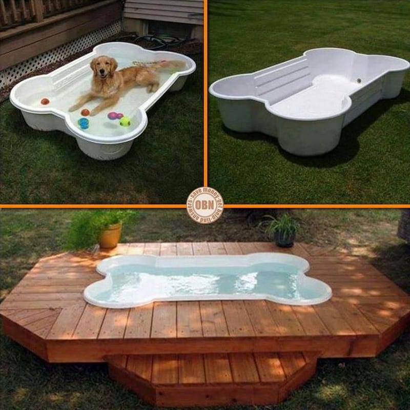 Is this something your pet would love to have? Why not ask them what they think of the idea...