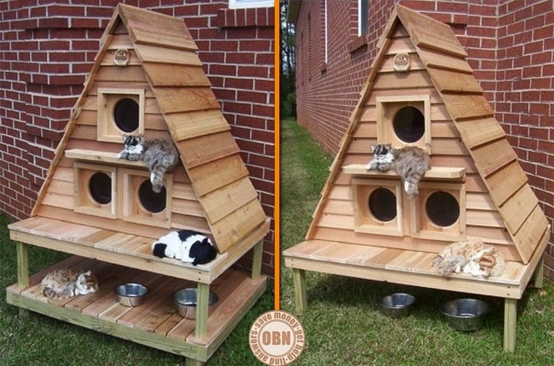 If your cats love to spend their time outdoors, then this cottage could be for them.