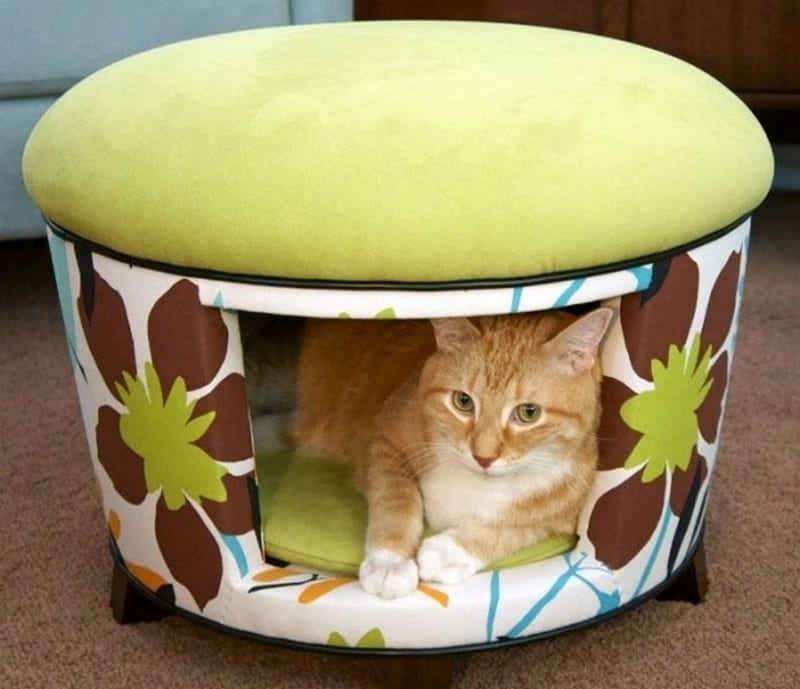 Here’s an interesting way to share your furniture with your pet :-) Let us know what you think of it.