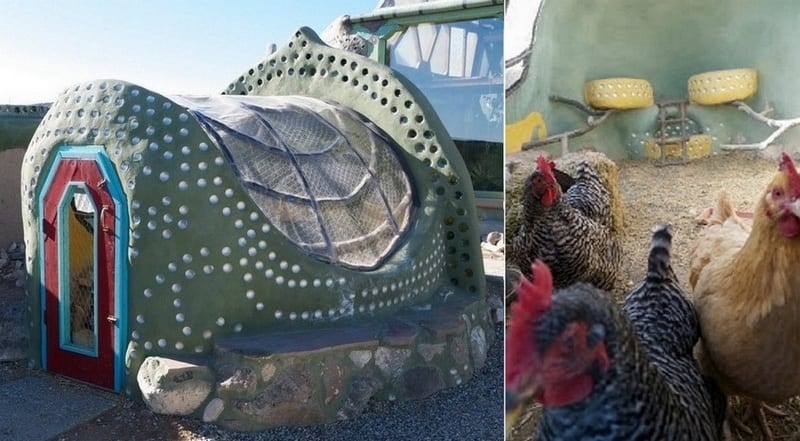 Earthship meets chicken coup!