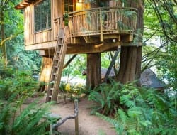 Maybe I should move to Issaquah, Washington so I could have this tree house?