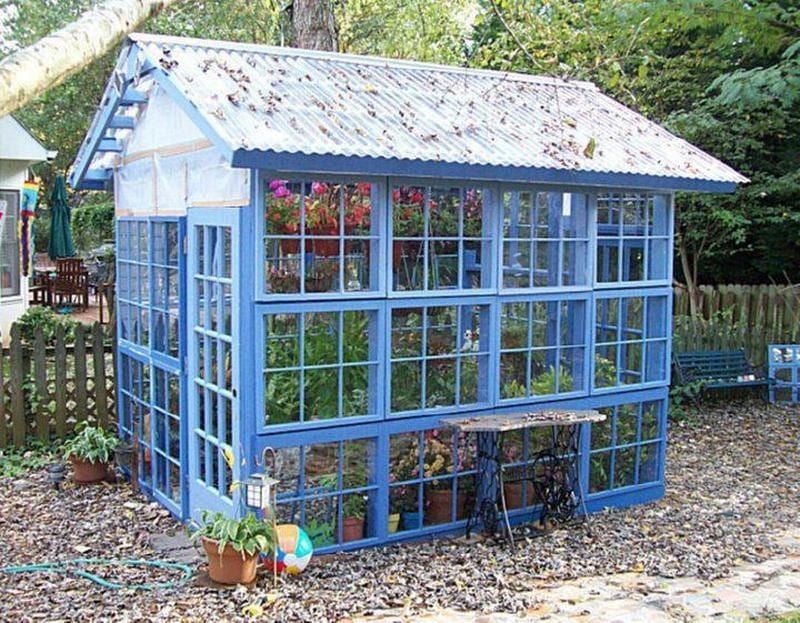 Need a glasshouse but don’t have the budget? Then this glasshouse made from repurposed windows could be for you.