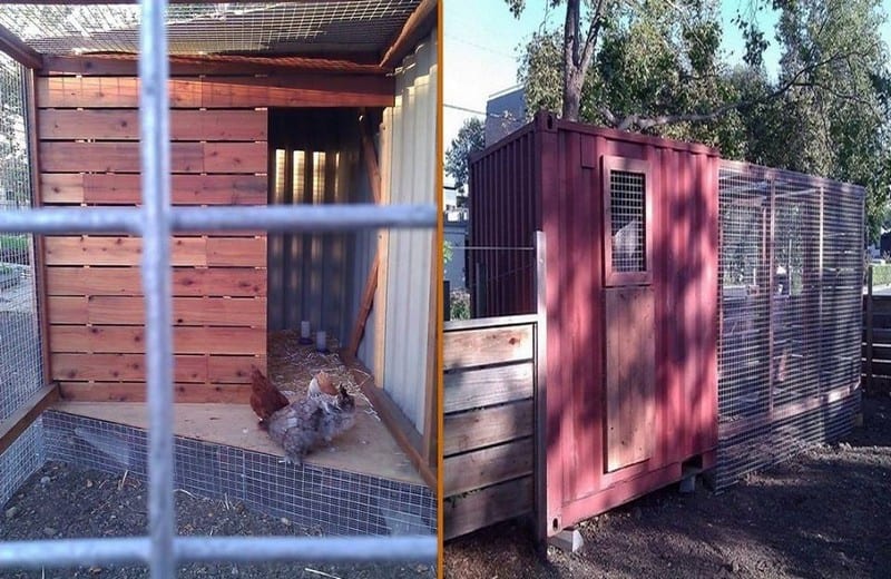 You’ve seen houses made from recycled shipping containers, but what do you think of this shipping container chicken coop?