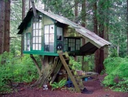 Salvaged windows, old roofing, some reclaimed flooring and you've got yourself a little tree house.
