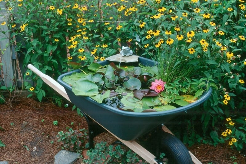 Personally I would have used an old wheelbarrow, but this idea shows that you can make a water feature out of just about anything.