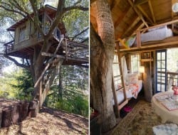 Most of the time we only get to see exterior shots of tree houses. Here's one with a shot of the inside. Would you like one in your backyard garden?