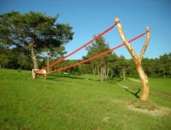 Is this the ultimate toy or a great piece of landscaping? Either way, nothing like a giant sling shot as a feature in your yard...