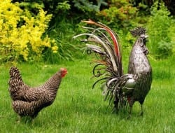 In many suburban areas, roosters are not allowed. I'm hoping this creation by Brian Mock would be acceptable!