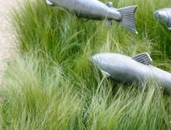 Decorating the garden with pretend fish is not something that has ever crossed my mind, but seeing these fish