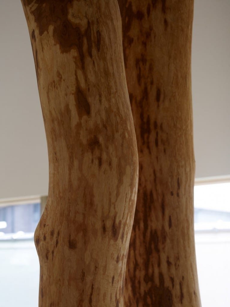 Garden Tree House - Kagawa , Japan