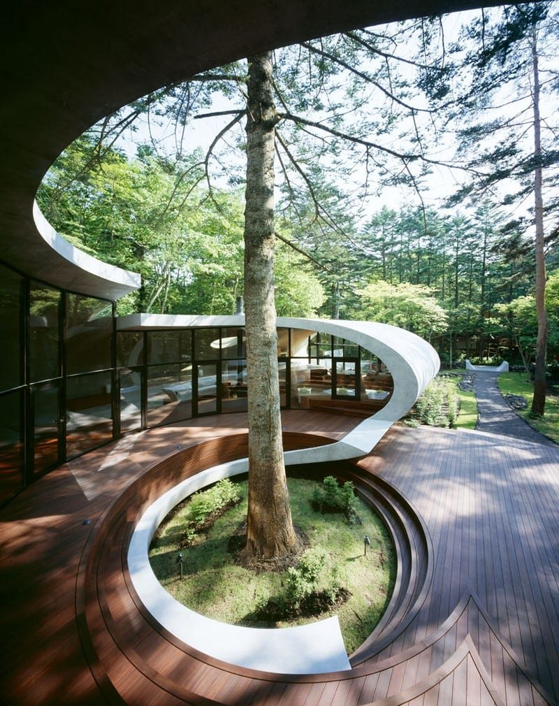 Shell - Kitasaku, Nagano, Japan