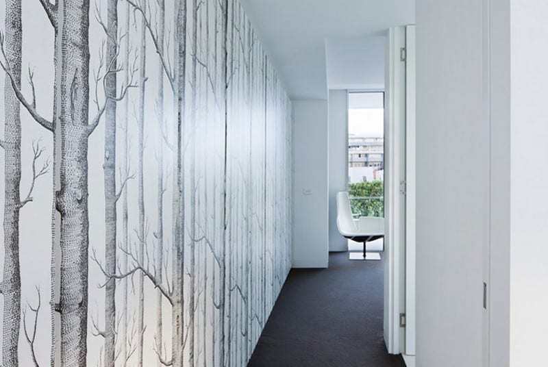 shakin-stevens-gibson-architects-9