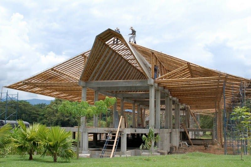 Still Baboozled?  Simon Velez is recognised as being at the forefront of modern bamboo building methods. Here is an example of his work.  The bamboo species is Guadua angustifolia, the same species I mentioned below. It has incredible strength and is also highly resistant to insect attack.