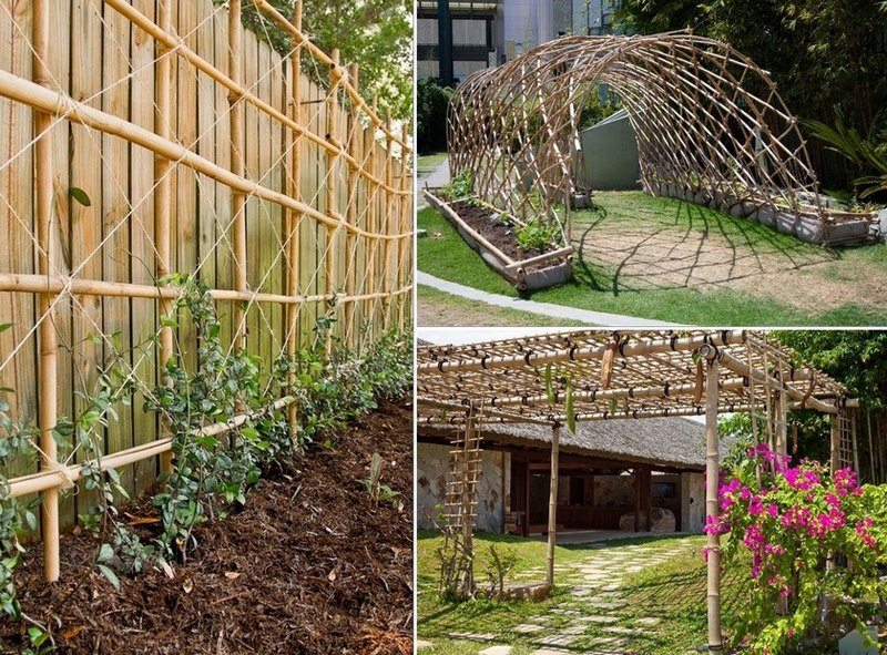 These are great examples of how you can use bamboo to build a trellis.