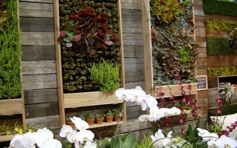 Vertical Garden