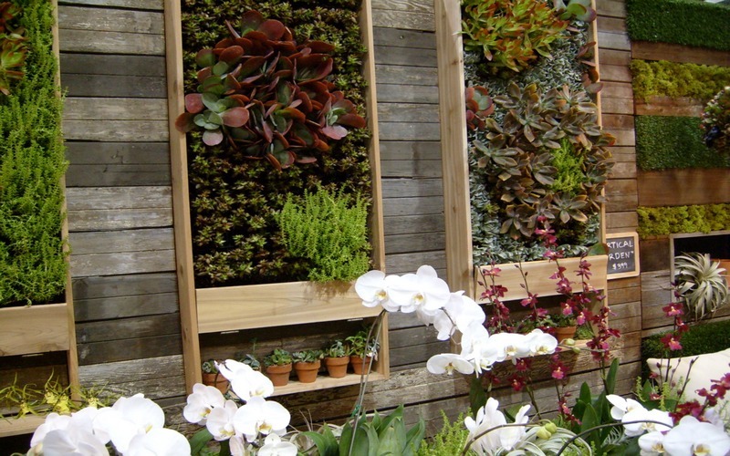 Vertical Garden