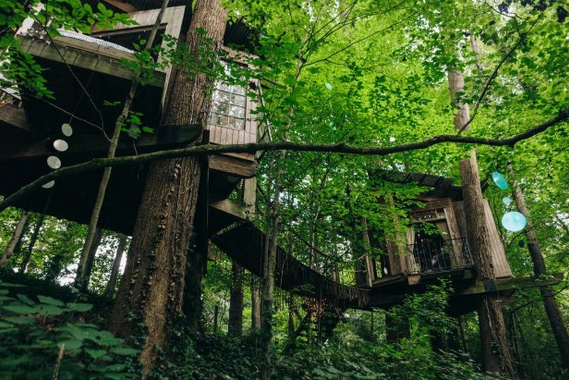 Treehouse in the City - Atlanta, Georgia