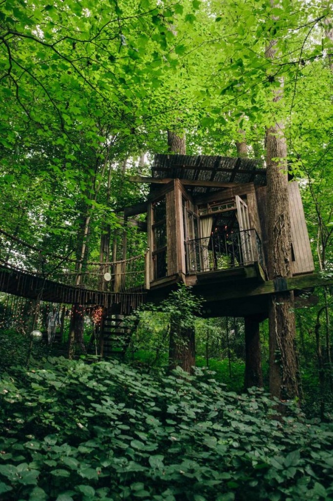 Treehouse in the City - Atlanta, Georgia