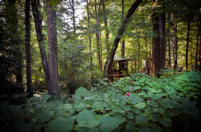 Treehouse in the City - Atlanta, Georgia