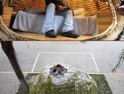 Bamboo in Beijing - could it be smaller?