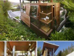 Banyan Tree House by RPA