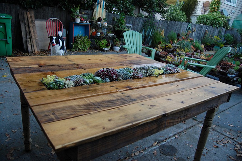 DIY Succulent Pallet Table