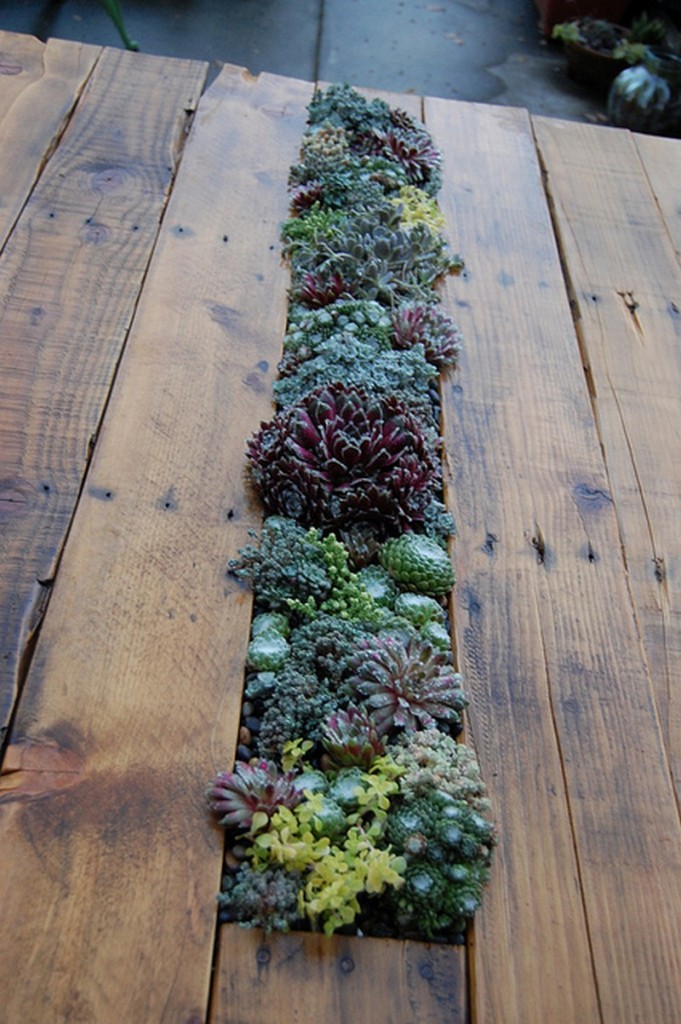 DIY Succulent Pallet Table