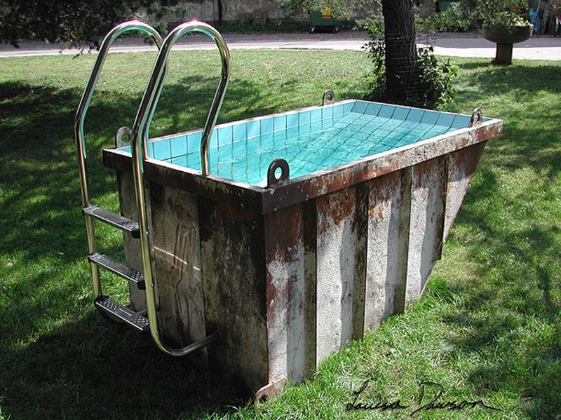 Dumpster Mini Pool - Louisa Dawson