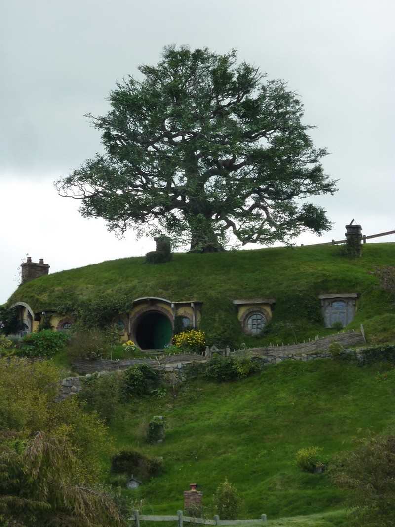 Living Underground