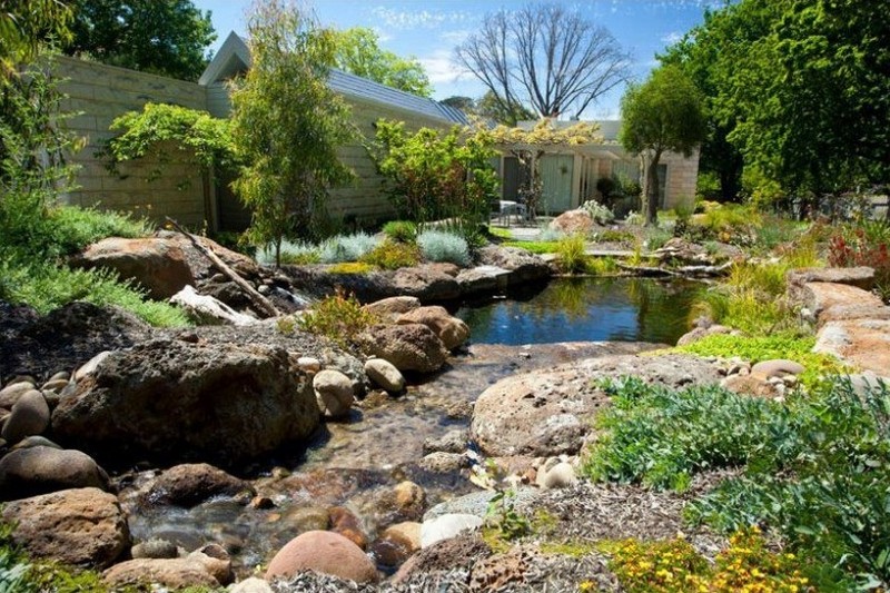 Natural Swimming Pond