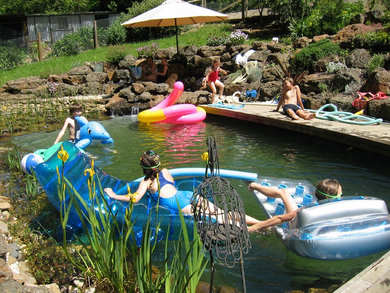 Natural Swimming Pond