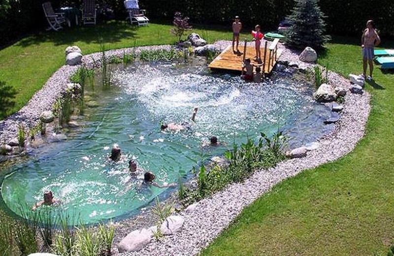 Natural Swimming Ponds