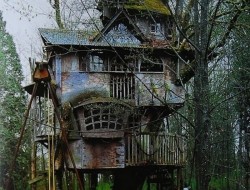 The Redmond Treehouse - Redmond, Washington