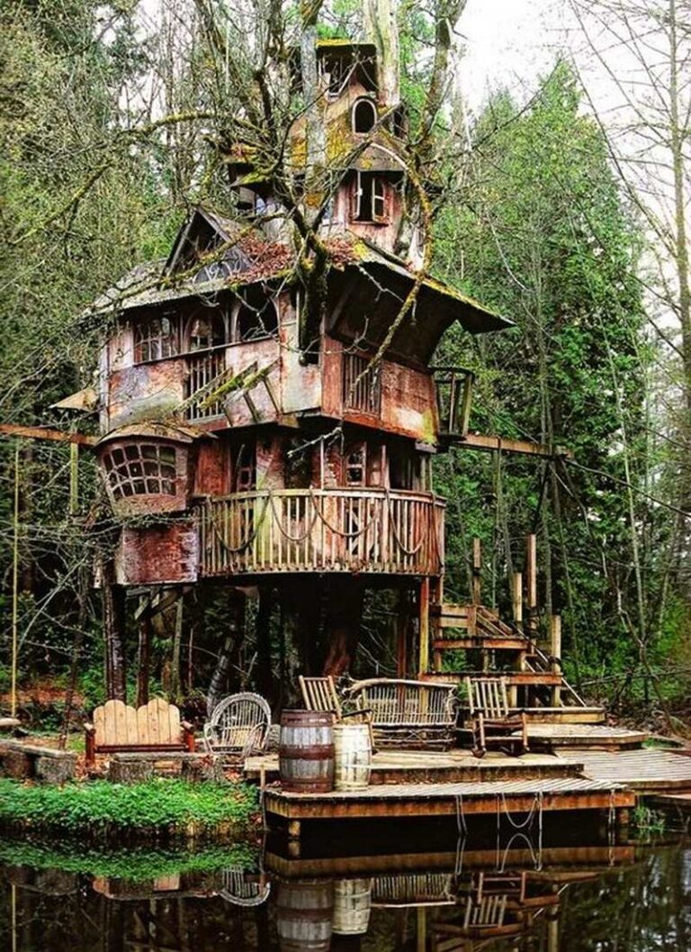 The Redmond Treehouse - Redmond, Washington